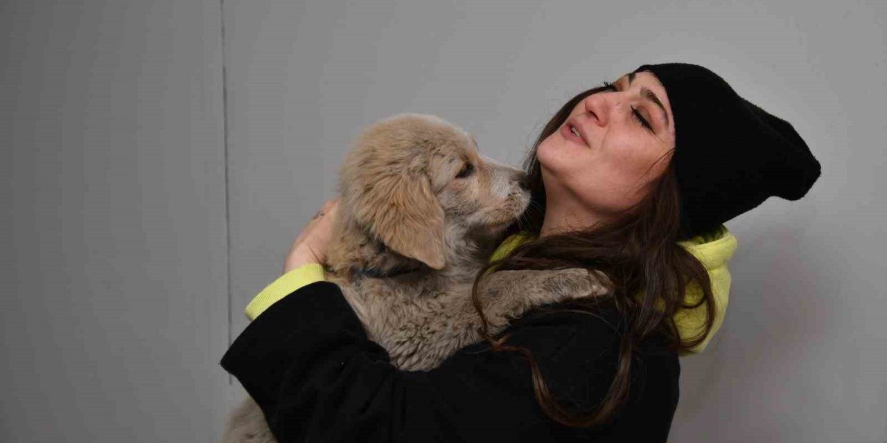 Kahramanmaraş’ta enkaz altından kurtarılan köpek Trabzon’da sahiplendirildi