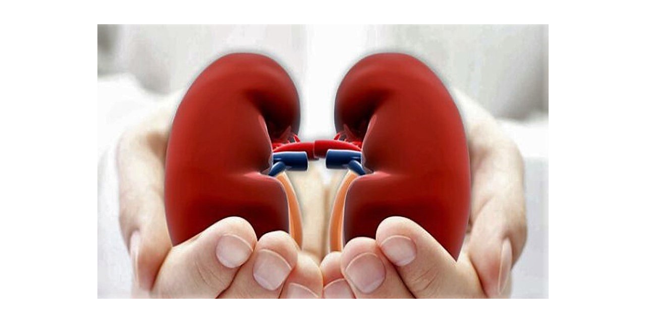 Her 10 kişiden 1’i kronik böbrek hastalığından muzdarip