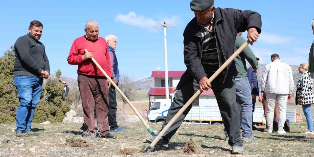 Korkuteli’de antepfıstığı yetiştiriciliği yapılacak