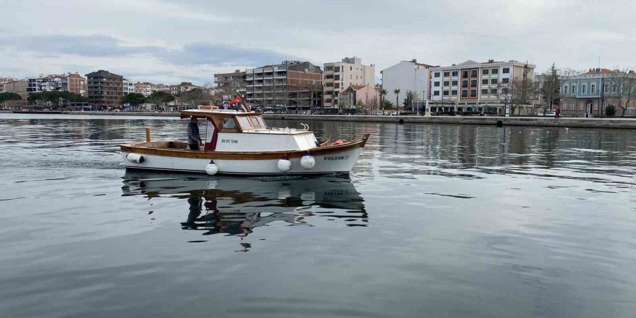 Nesli tükenmekte olan köpek balığı teknede doğum yaptı