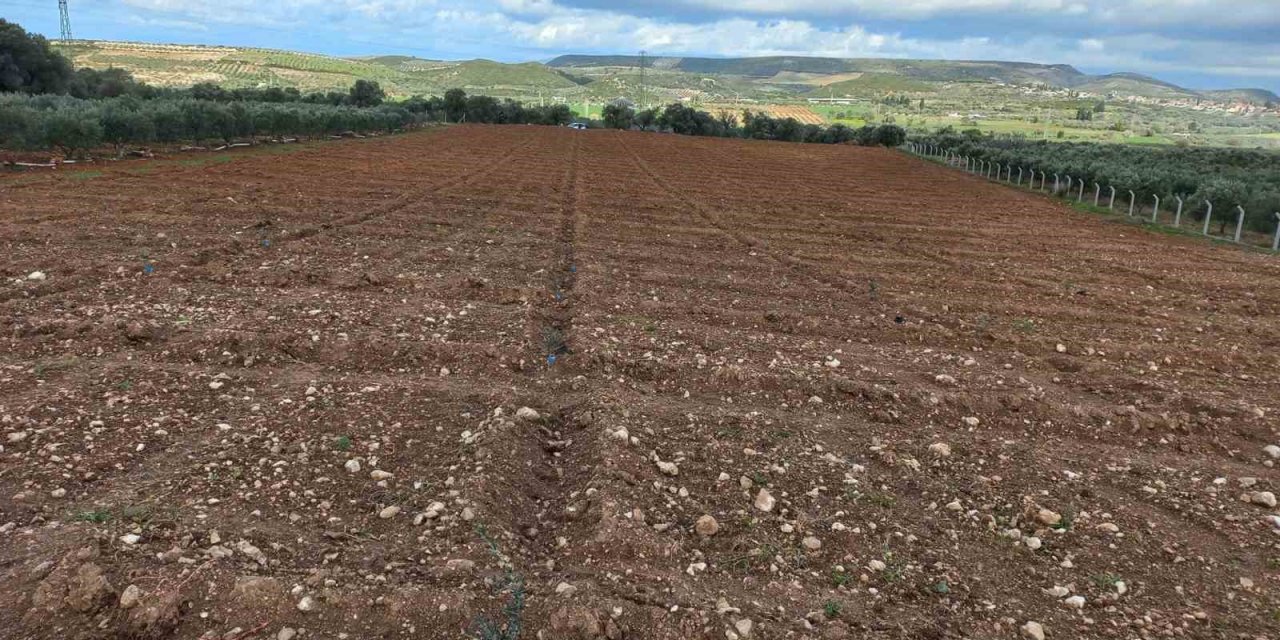 Didim’de fidan desteği kontrolleri gerçekleştirildi
