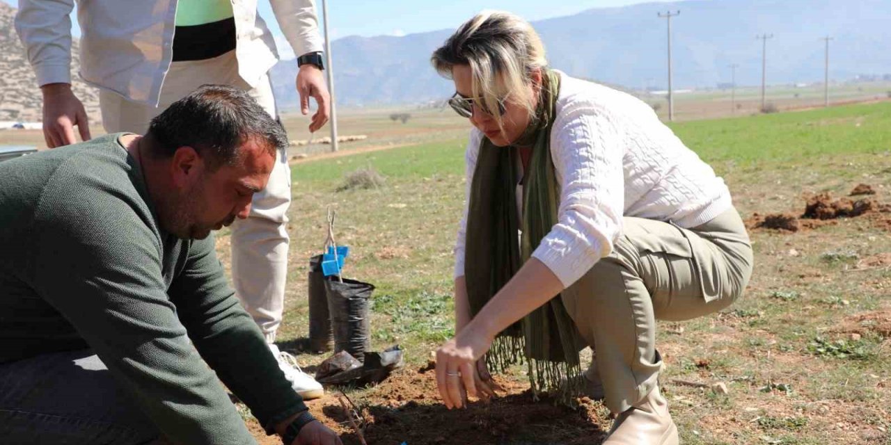 Korkuteli’de antepfıstığı yetiştiriciliği yapılacak