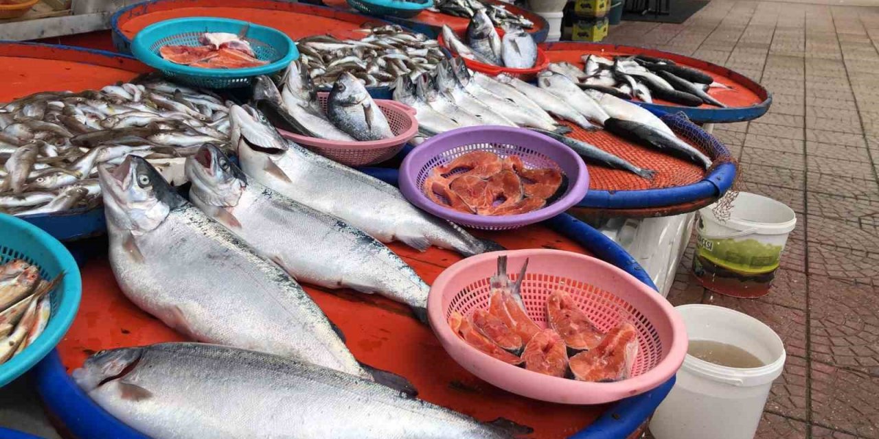 Trabzon’dan kaçan somonlar Rize’de tezgaha düştü