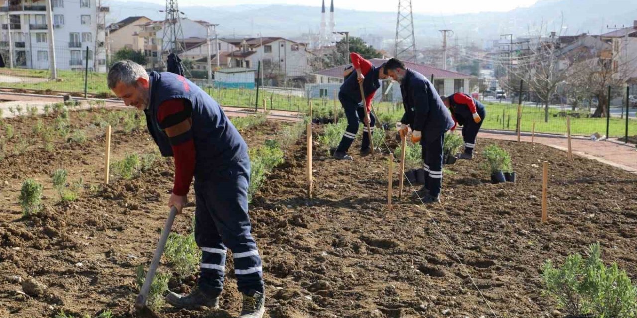 Gündoğdu lavanta ile canlandırılacak