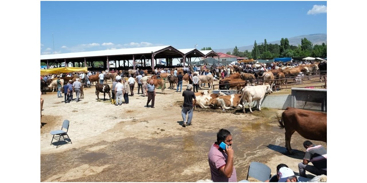 Erzincan canlı hayvan pazarı kapatıldı