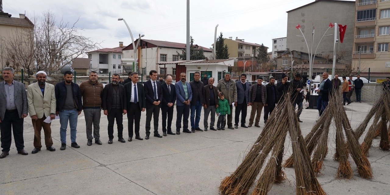 Kulp’ta, ipekböceği üreticilerine 10 bin adet dut fidanı dağıtıldı