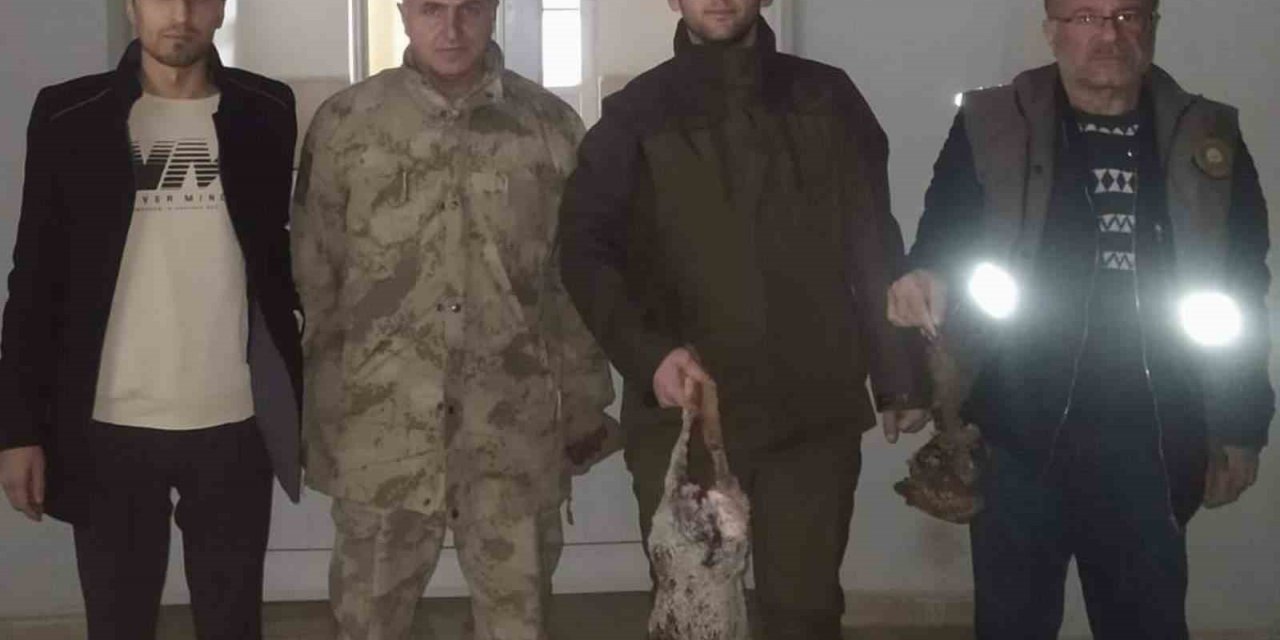 Siirt’te kaçak avcılara geçit yok