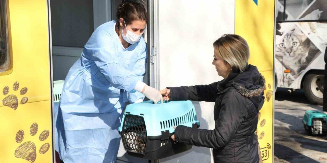 Sokak kedilerine kısırlaştırma karavanı