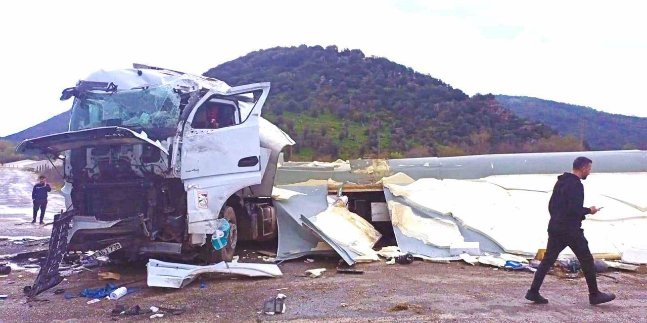 Balık yüklü tır kaza yaptı