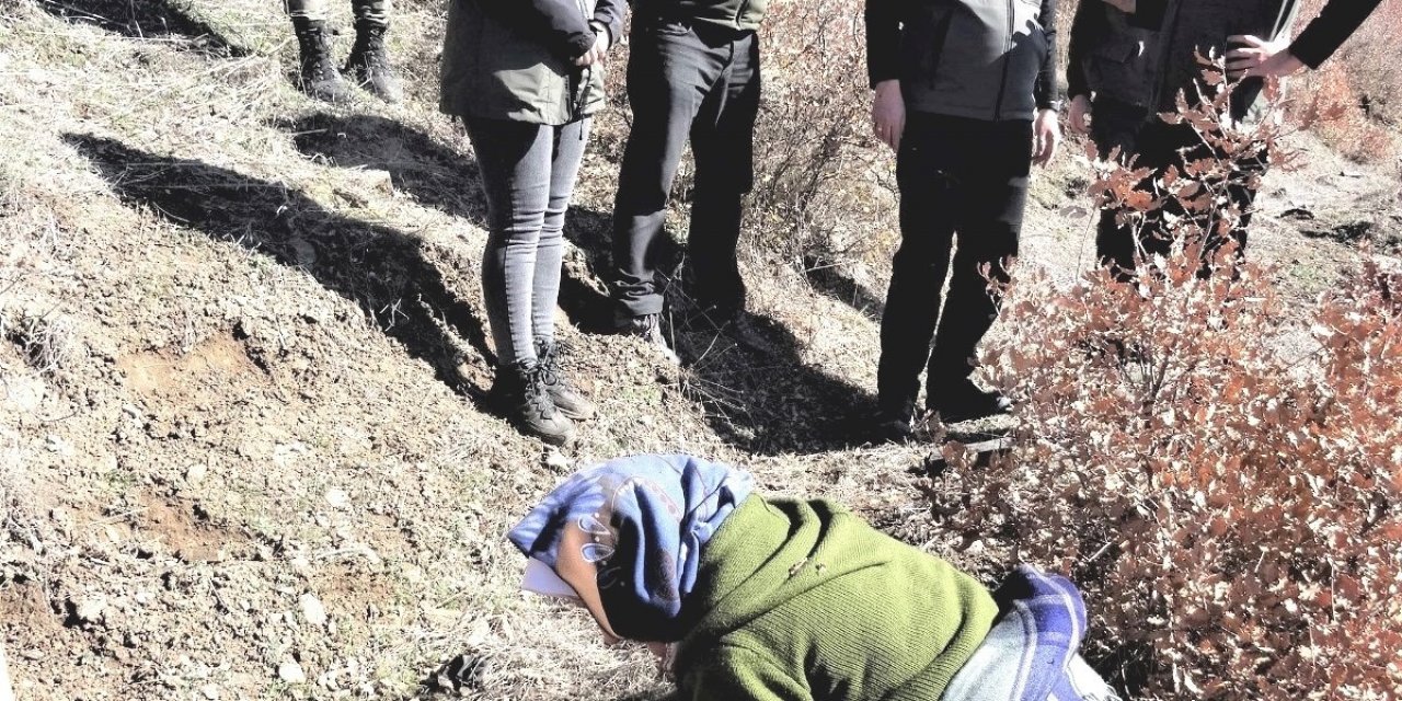 Simav’da 70 bin fidan toprakla buluşuyor