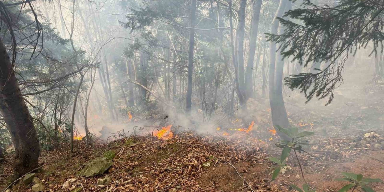 Trabzon’da ormanlık alanda örtü yangını çıktı