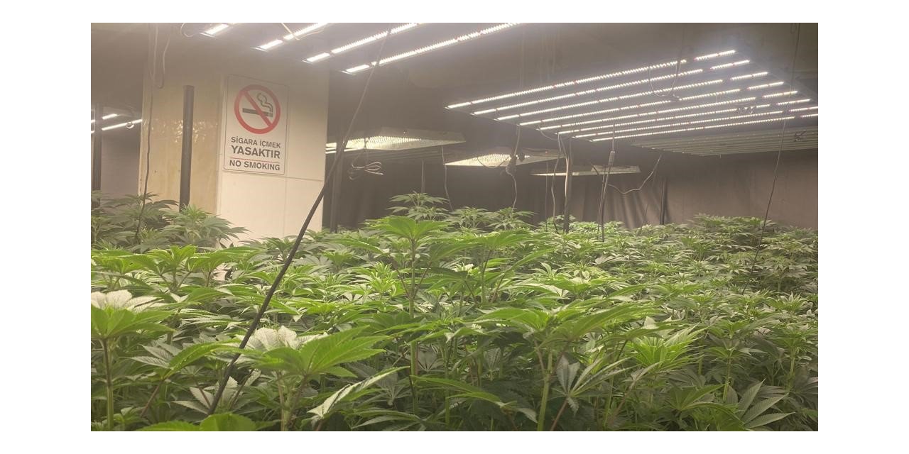 3 katlı binada 20 milyonluk uyuşturucu ele geçirildi, polis bile şaşkına döndü