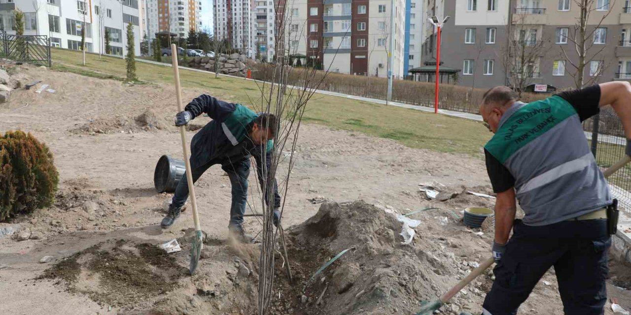 Talas’ta ağaçlandırma sezonu açıldı