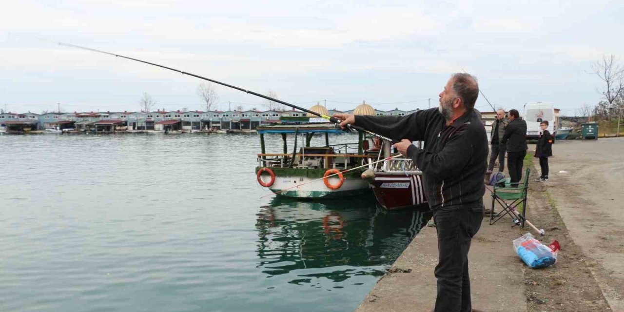 Trabzon’un kaçak somonları Rizeliler’in yüzünü güldürüyor