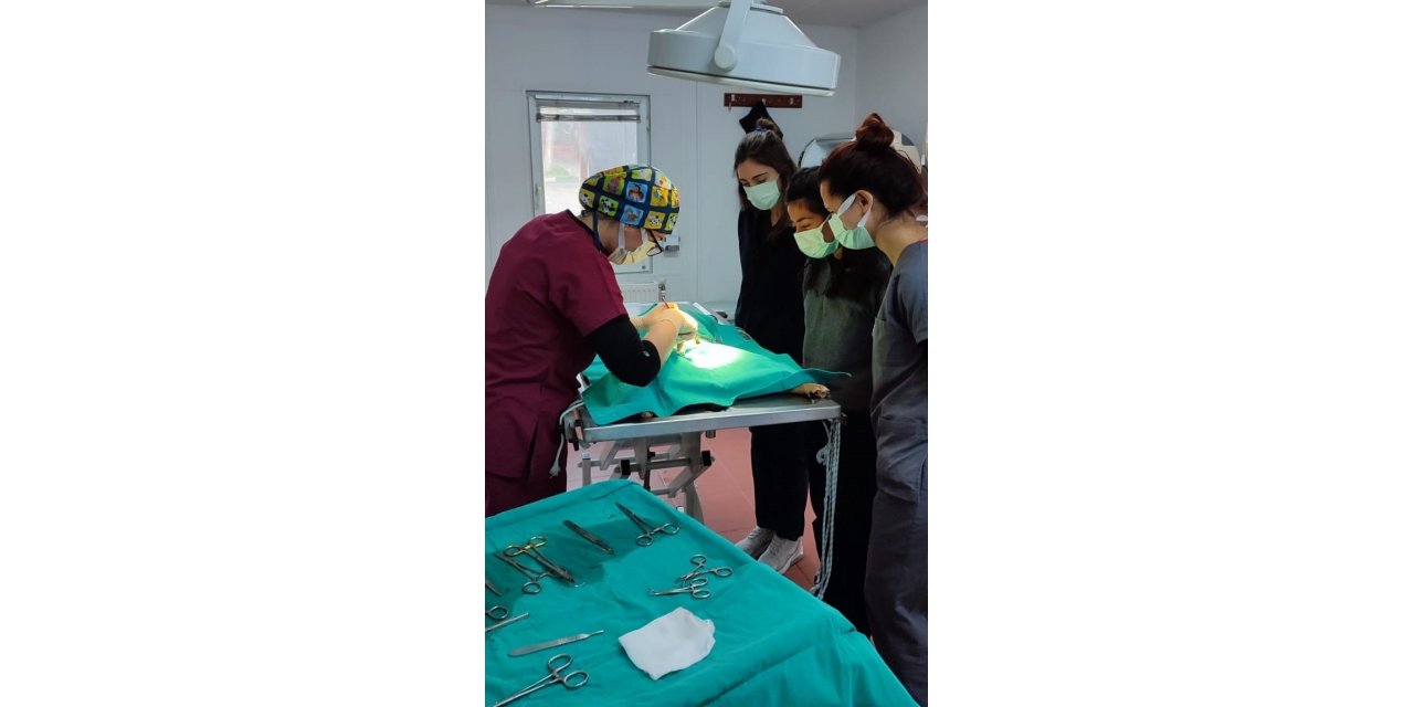 Veteriner fakültesi öğrencilerine uygulamalı eğitim