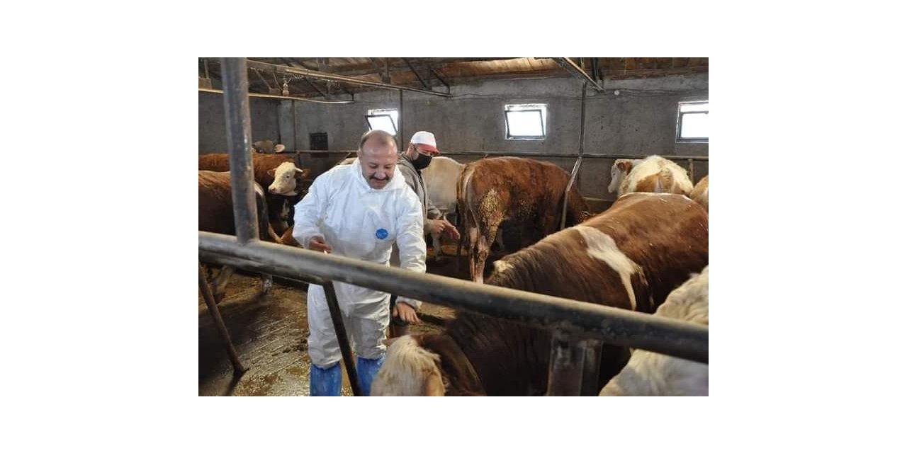 Müdür Özçalık, ”Şap hastalığını önlemek için tüm yetiştiricilerimizin anlayış ve desteğini bekliyoruz”