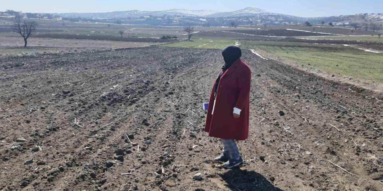 Arpa ve buğdayın ürün verimliğinin analizi yapıldı