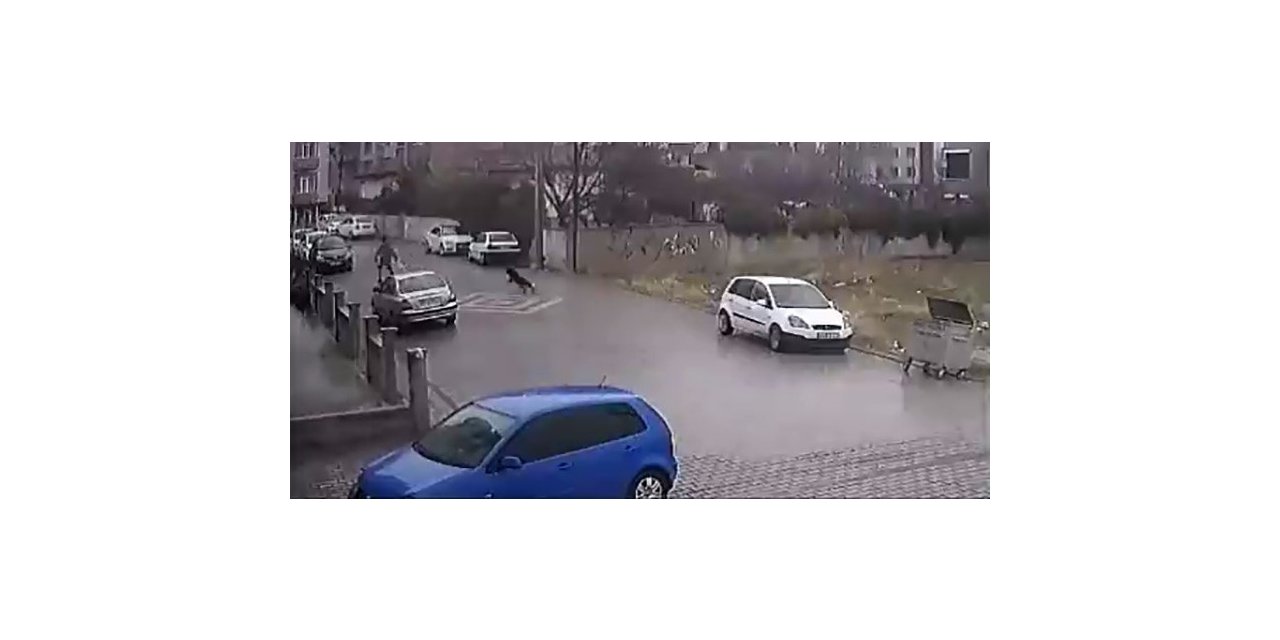 Kendisine doğru koşan köpekleri fark etti, otomobil üzerine çıktı