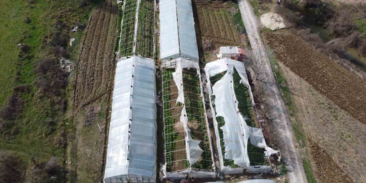 Yalova’da yenilenecek eski seraların kontrolleri devam ediyor