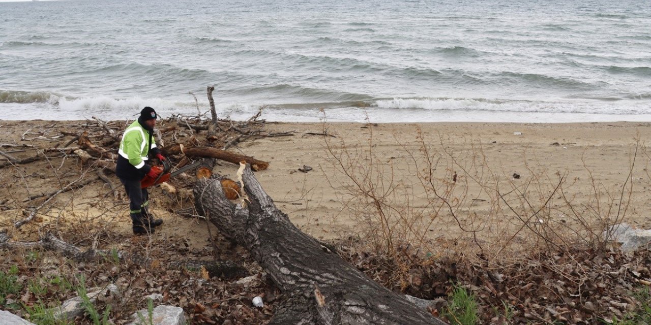 Yalova’da fırtınada zarar gören ağaçların yerinde yeni fidanlar yeşerecek