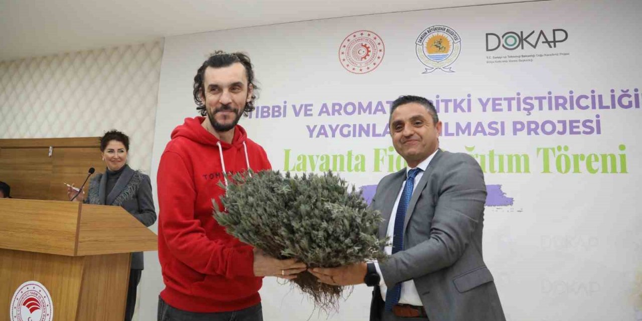Samsun’da 225 bin lavanta fidesi dağıtıldı