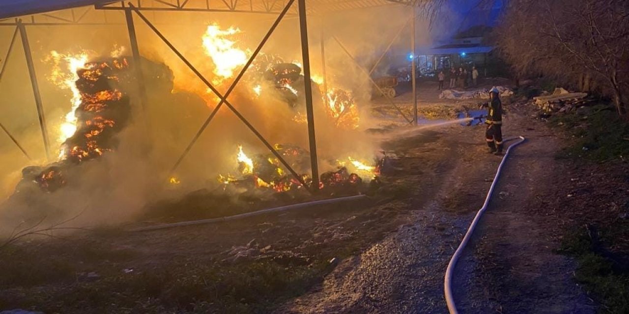 Binlerce balya saman alev alev yandı