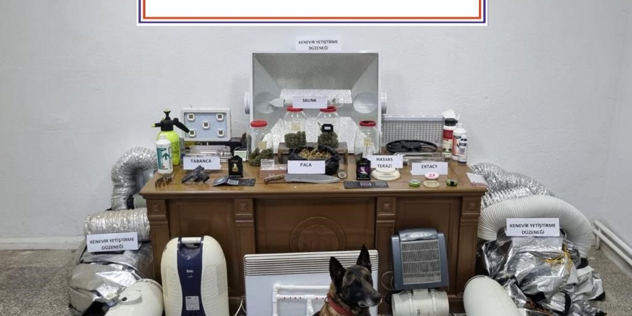 Evini uyuşturucu tarlasına çevirmiş
