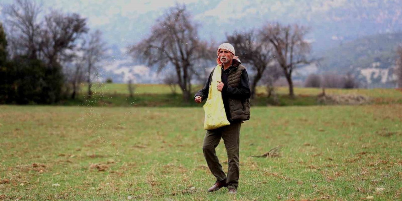 Ata tohumu desteği ile ekilemeyen alanlar tarıma kazandırılıyor