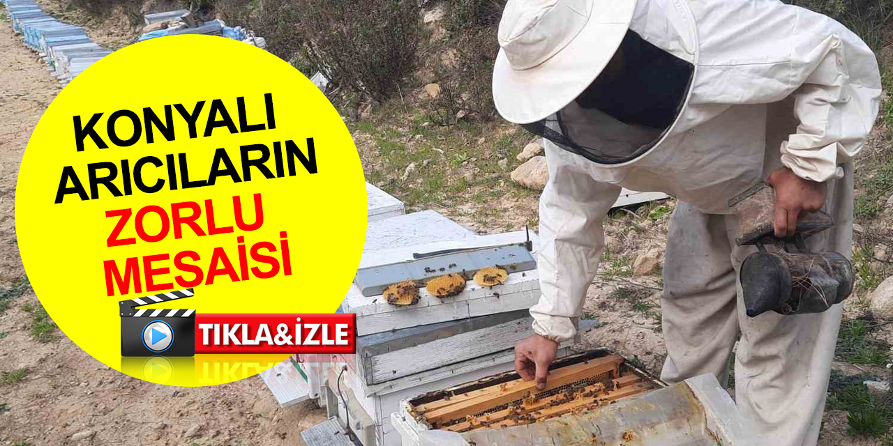 Konyalı arıcıların iki şehir arasında zorlu mesaisi sürüyor