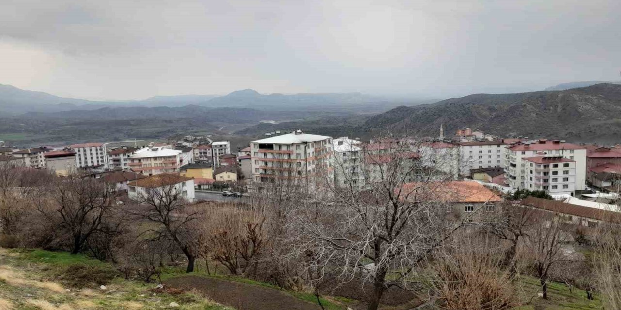 Kulp’ta yağmur çiftçinin yüzünü güldürdü