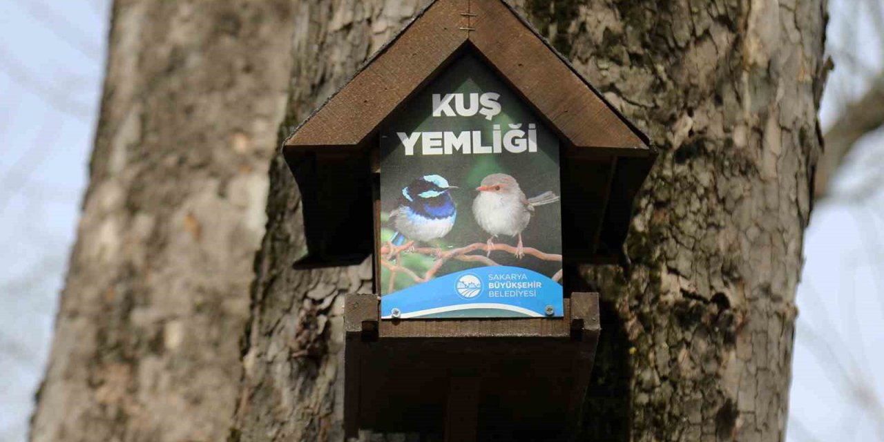 Büyükşehir’in kuş yemlikleri yürekleri ısıttı