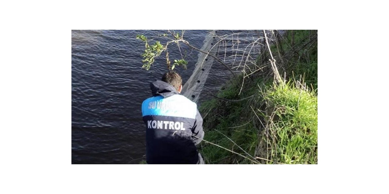 İç sularda sazangiller ve yayın balığı yasağı başladı