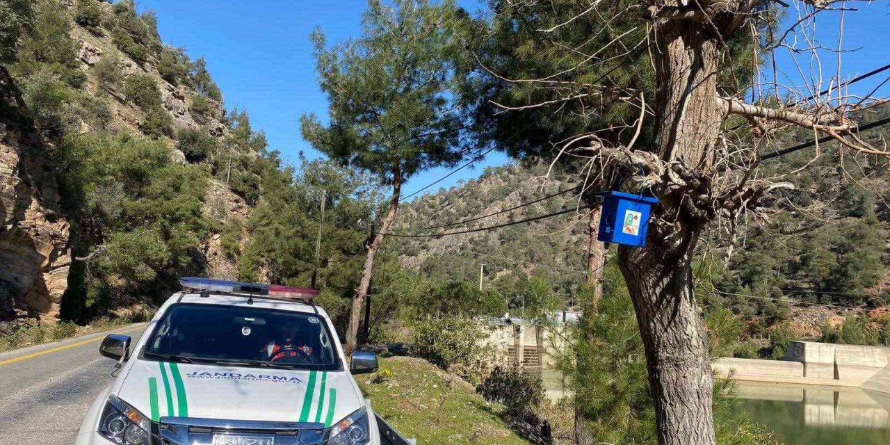 Jandarmadan ormandaki kuşlara yuva