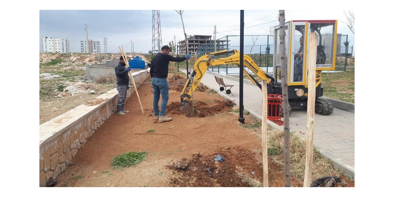 Artuklu Belediyesi kenti yeşillendiriyor