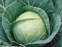 Romatizma hastalarına bire bir