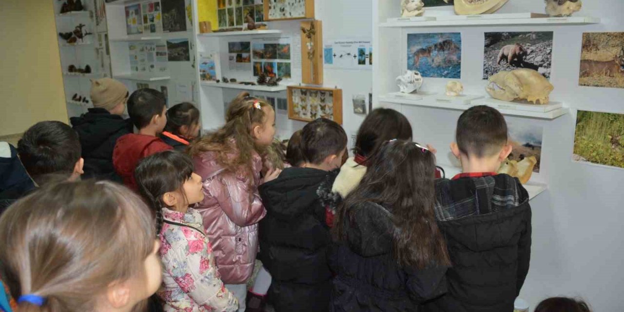 Öğrenciler doldurulmuş hayvan müzesini inceledi