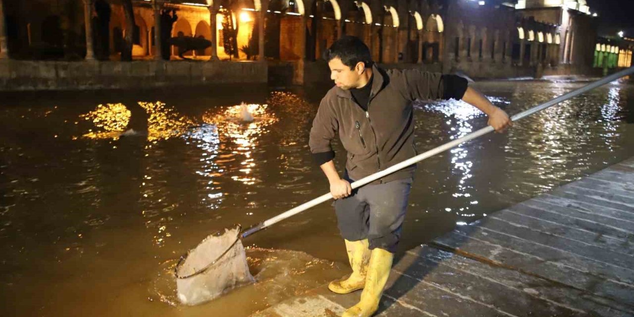 Balıklıgöl suyu normale dönüyor