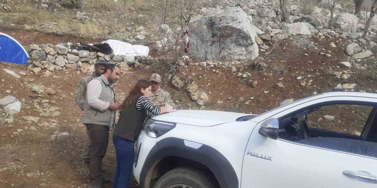 Şırnak’ta yaban keçisi avlayan şahsa 260 bin 900 TL ceza