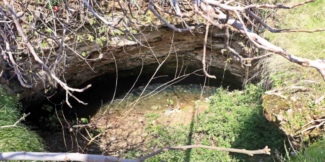 Antalya’nın göbeğinde 35 metre derinlikteki obrukta çok sayıda tatlı su canlısı tespit edildi