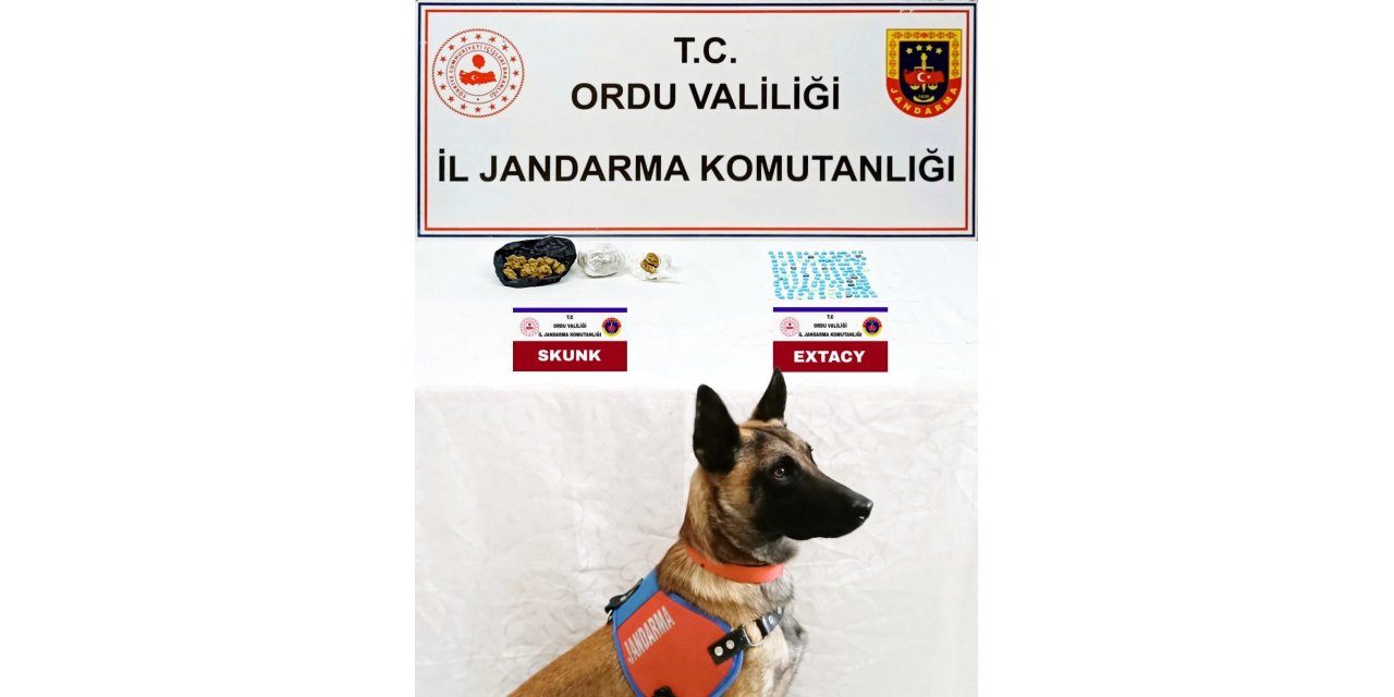 Ordu’da jandarma ekiplerinden uyuşturucu ve kaçak tütün operasyonu