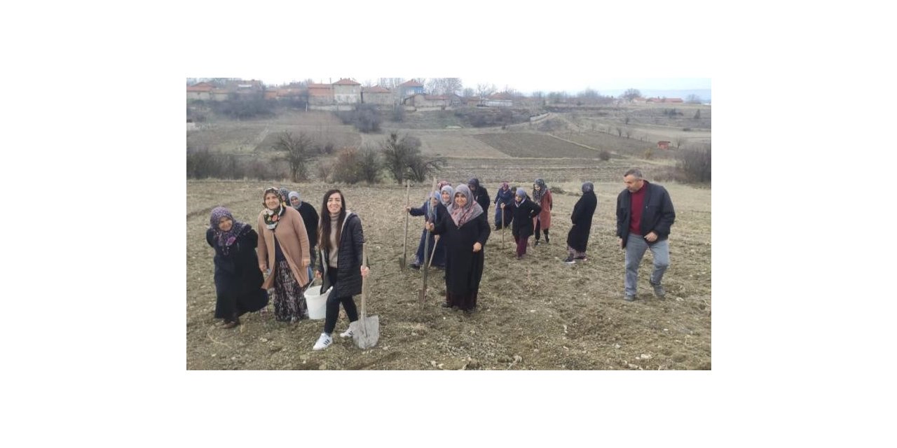 Domaniç’te Tıbbi ve Aromatik Bitkileri Yetiştiriciliği kursu sona erdi