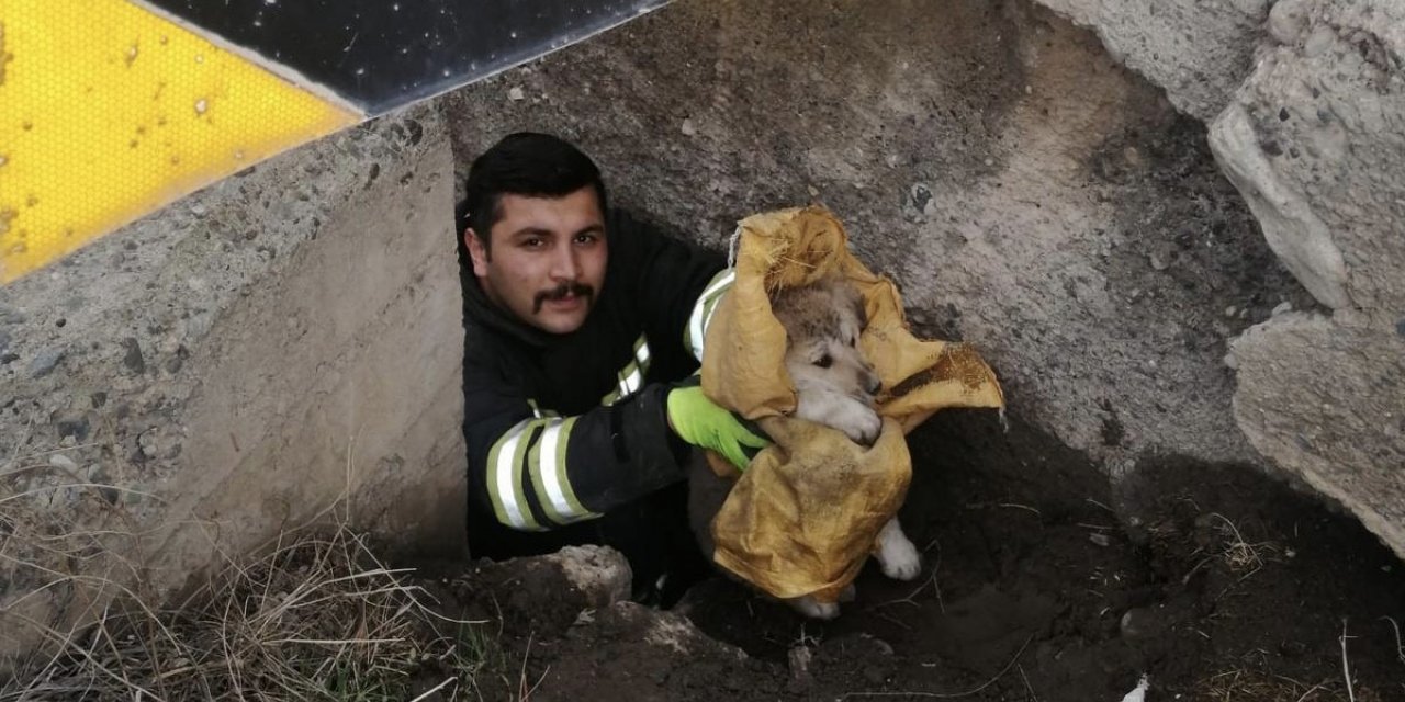 Köprü altında mahsur kalan yavru köpekler itfaiye ekiplerince kurtarıldı