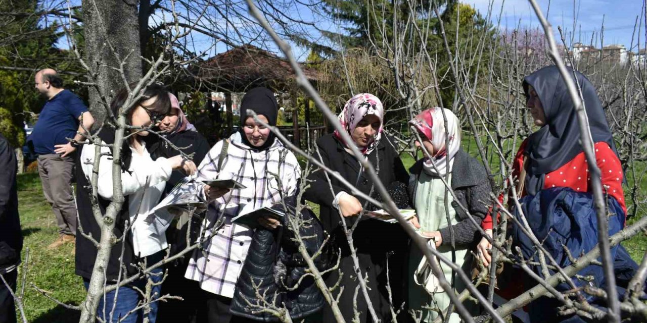Bartın’da çiftçilere budama eğitimi, doğru verim alma yöntemleri anlatıldı