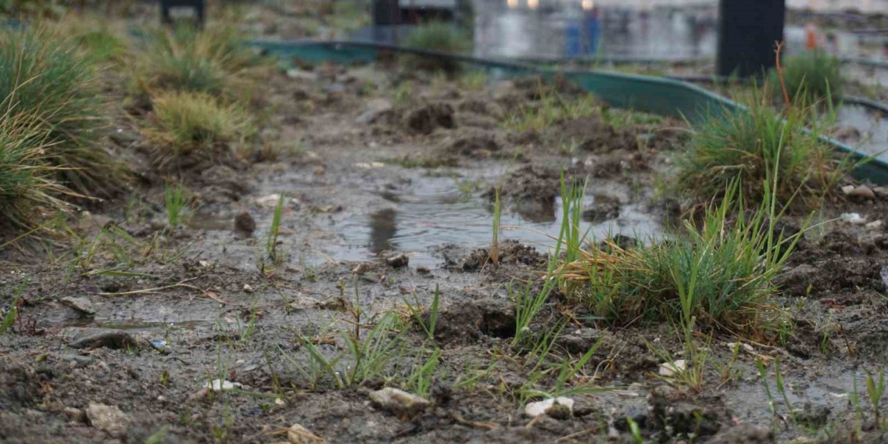Yağmur toprağa can suyu, çiftçiye umut oldu