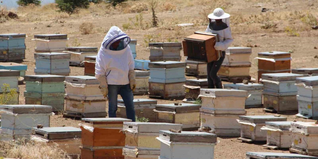 Elazığ Arı Yetiştiricileri Birliği Başkanı Canbay: “Yağışların ileride arıcılar üzerinde olumlu yansıması olacaktır”