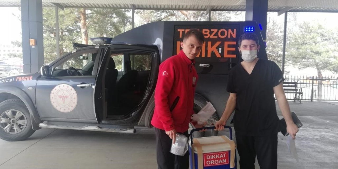 Ağacın altında kalarak ağır yaralanmıştı, organları 3 hastaya umut oldu