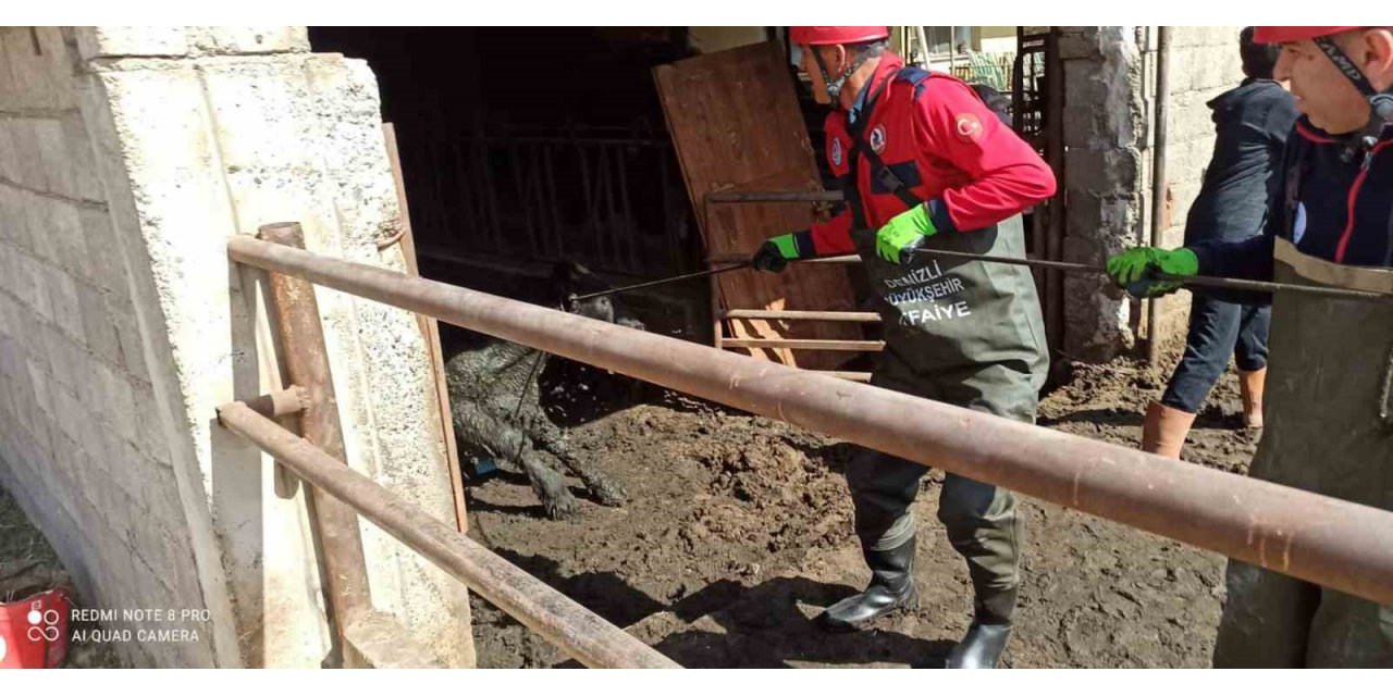 Atık kuyusuna düşen ineği itfaiye kurtardı