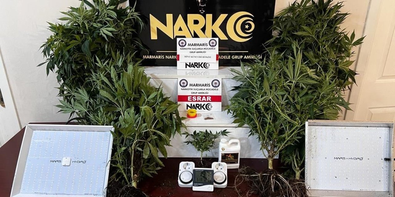 Marmaris’te evinde uyuşturucu yetiştiren şahıs yakalandı