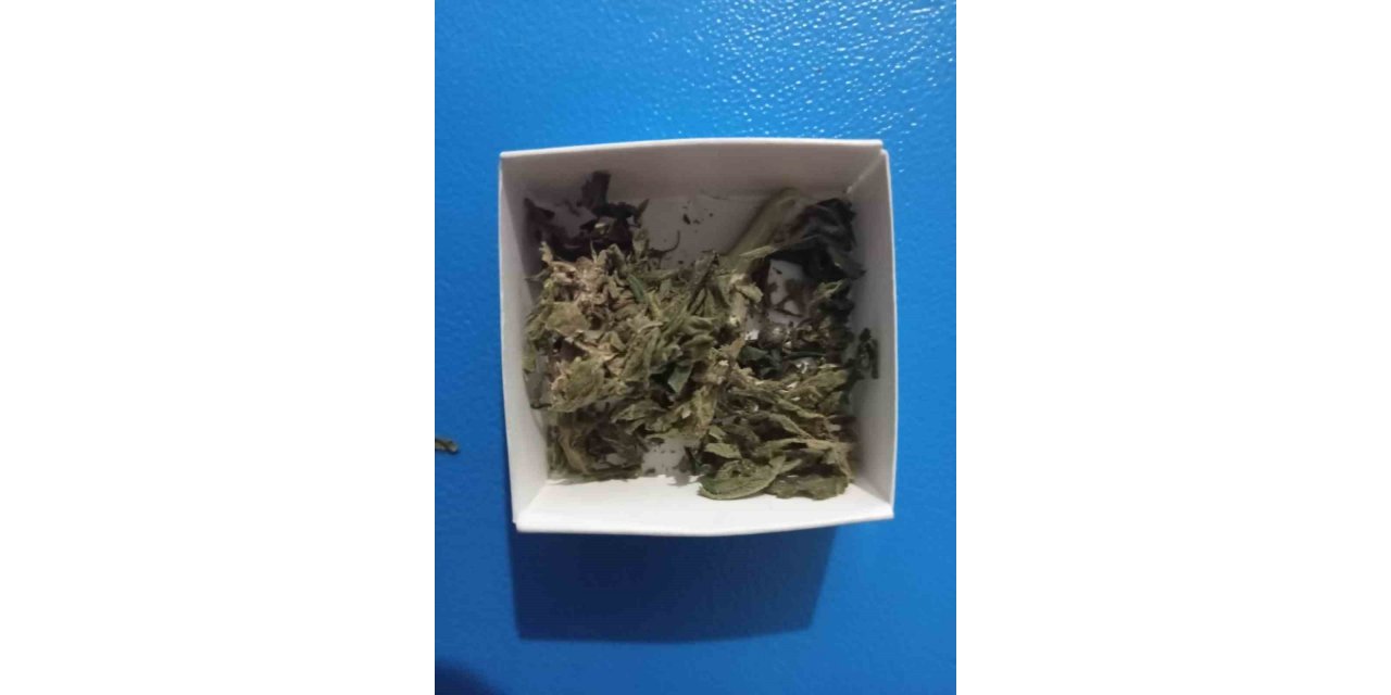 Şüpheli şahıslar uyuşturucuyla yakalandı