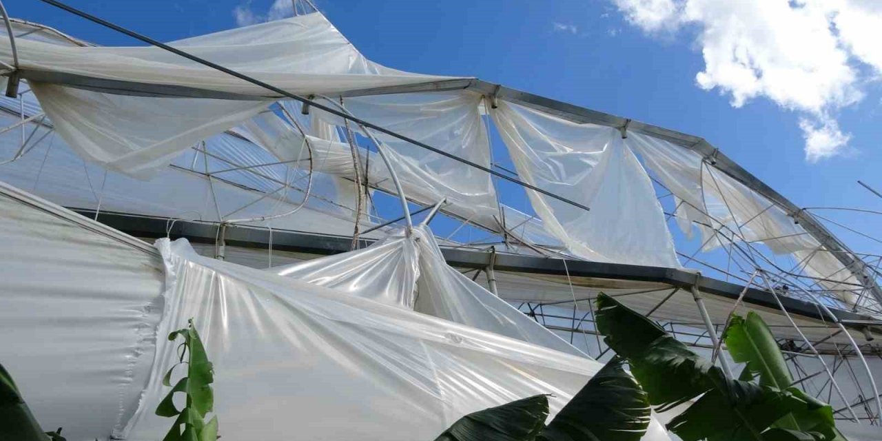 Hortum muz serasını vurdu, 5 dönümlük alan savaş meydanını aratmadı